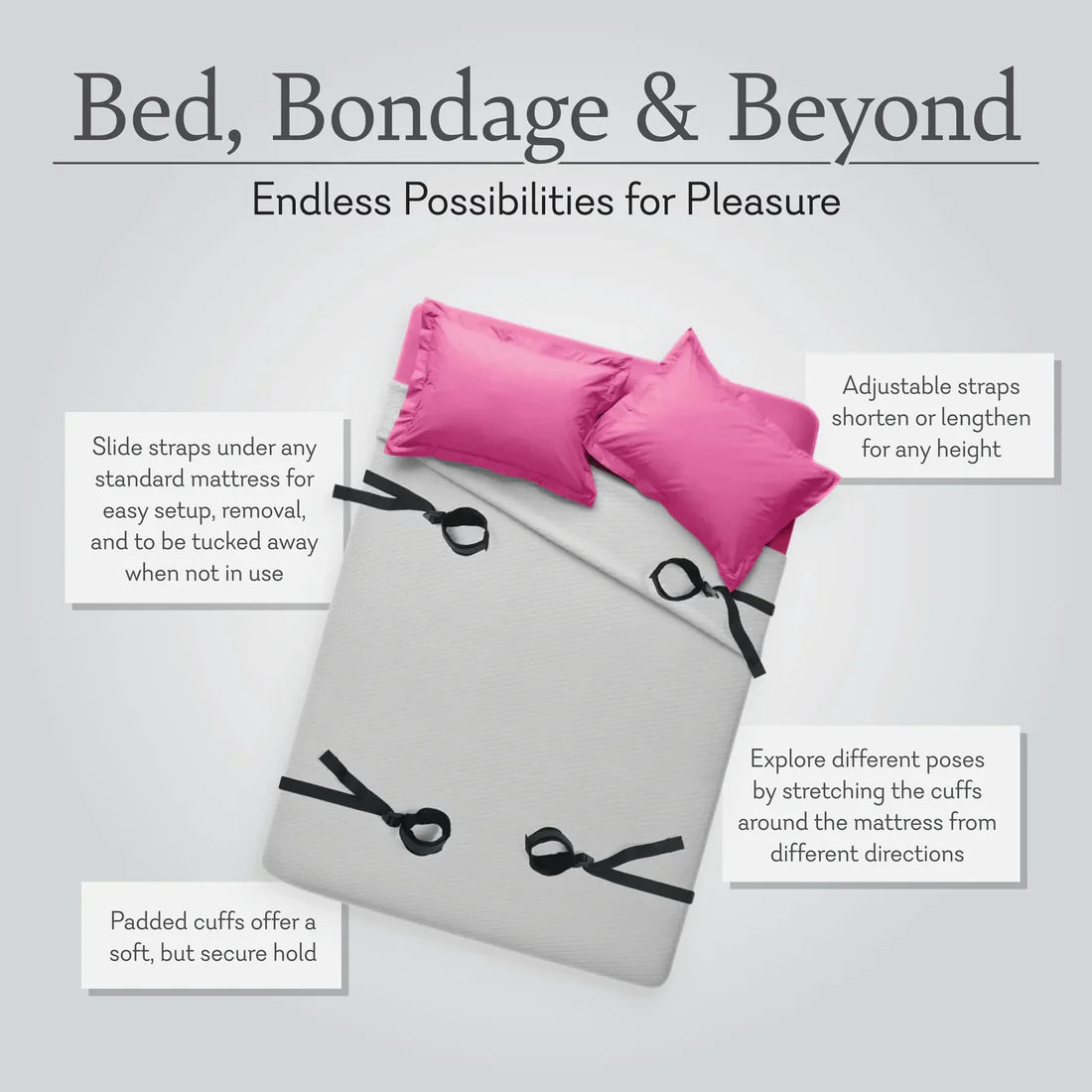 Bed, Bondage, & Beyond