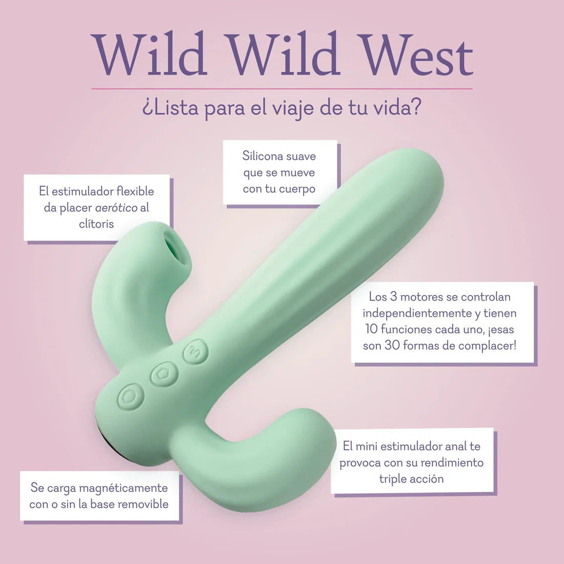 Wild Wild West - NEW!