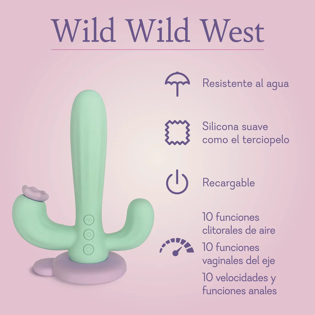 Wild Wild West - NEW!